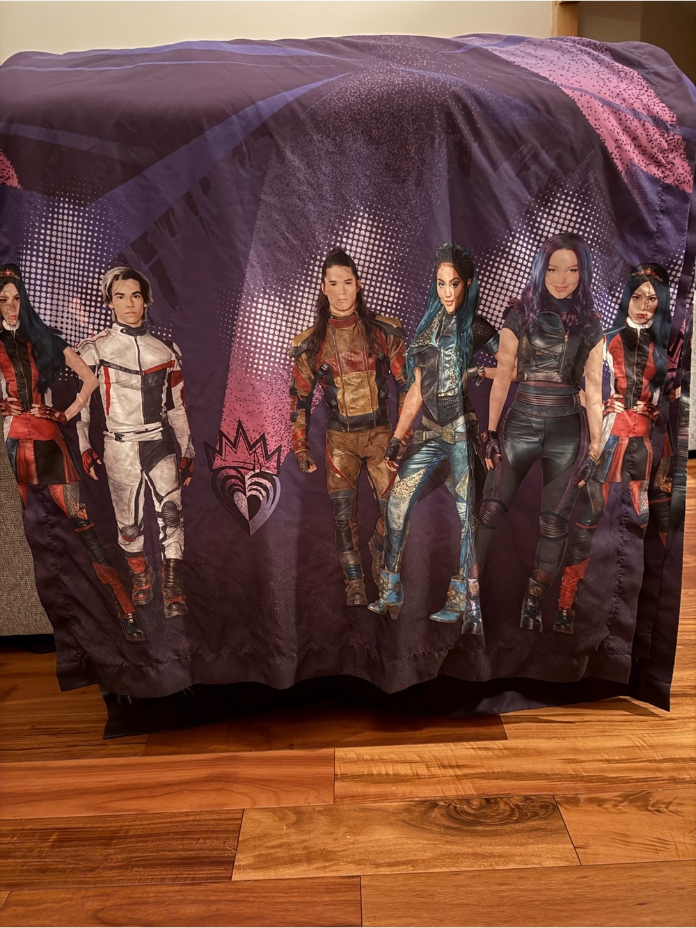 Disney Descendants Curtains
